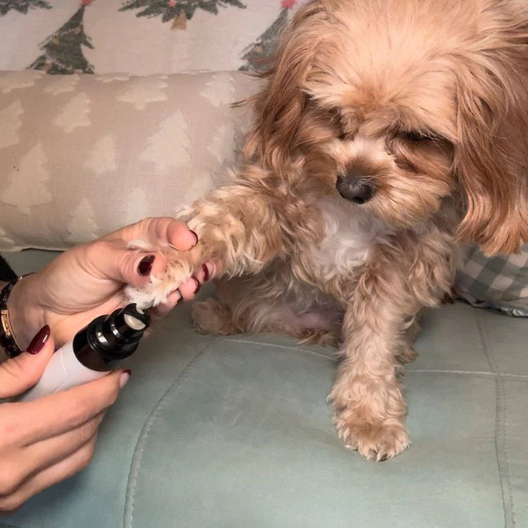 Josven™ Grooming Silencioso para Mascotas